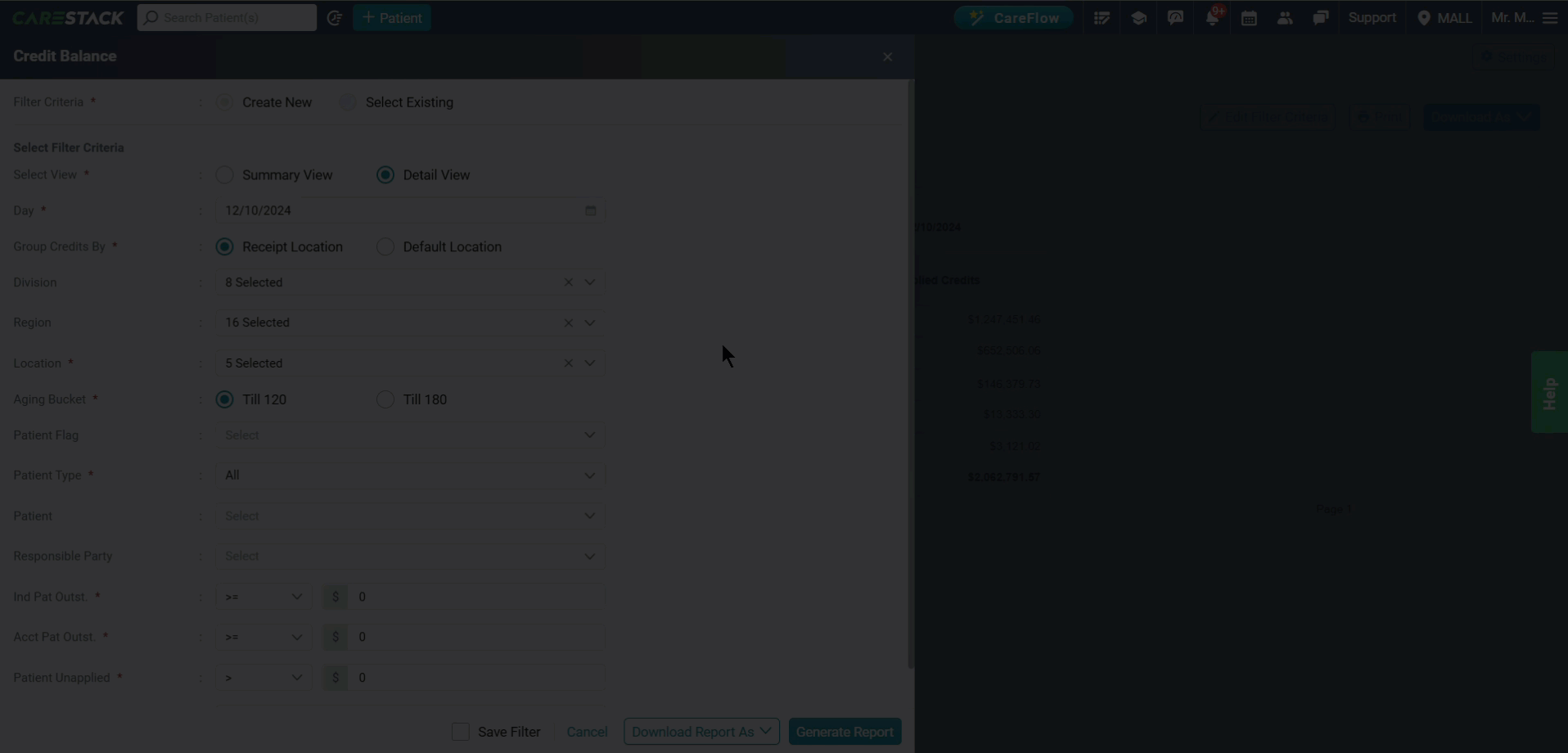 Credit Balance report detail view.gif